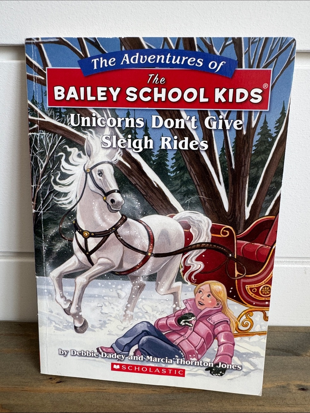 The Adventures of The Bailey School Kids #28: Unicorns Don’t Give Sleigh Rides